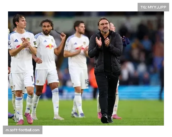 桑德兰对阵伯恩利一役 升班马阵容伤病情况直接影响保级形势